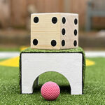 Mini Golf Crazy Golf Hire