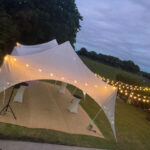 Festoon Lights